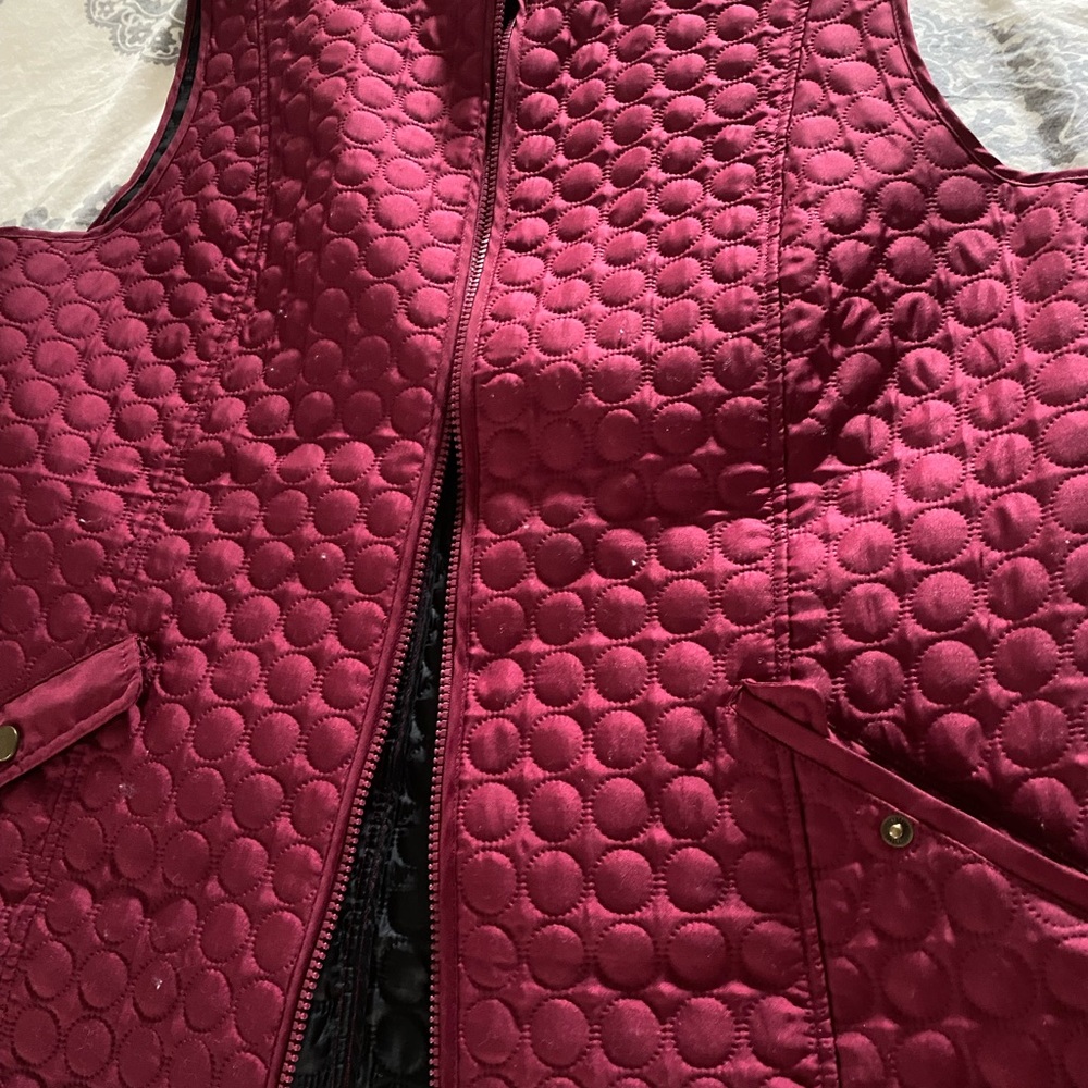 Allison Daley vest